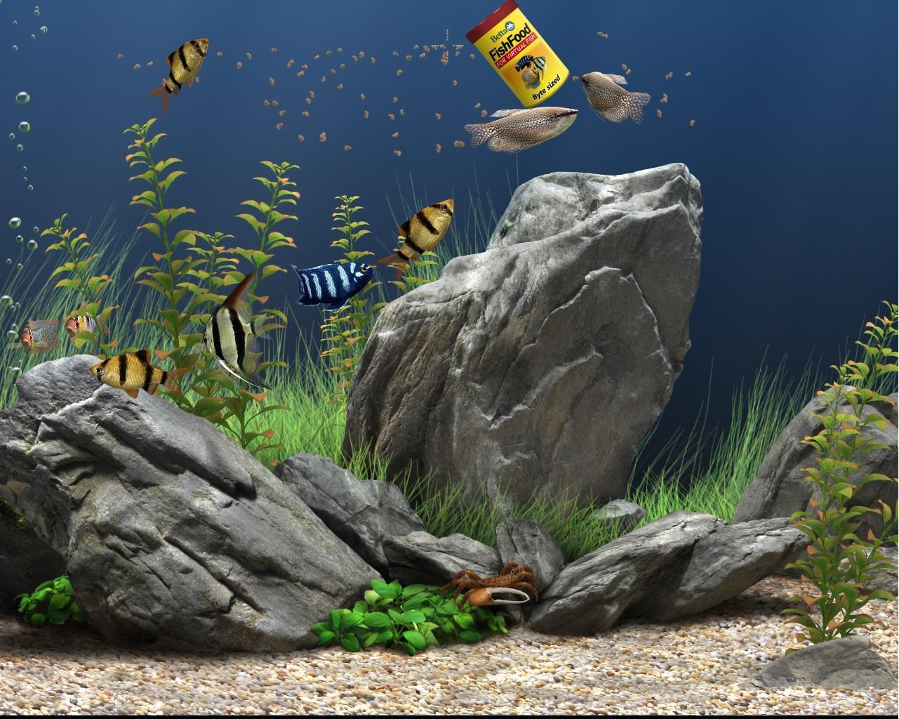dream aquarium screensaver for windows 10