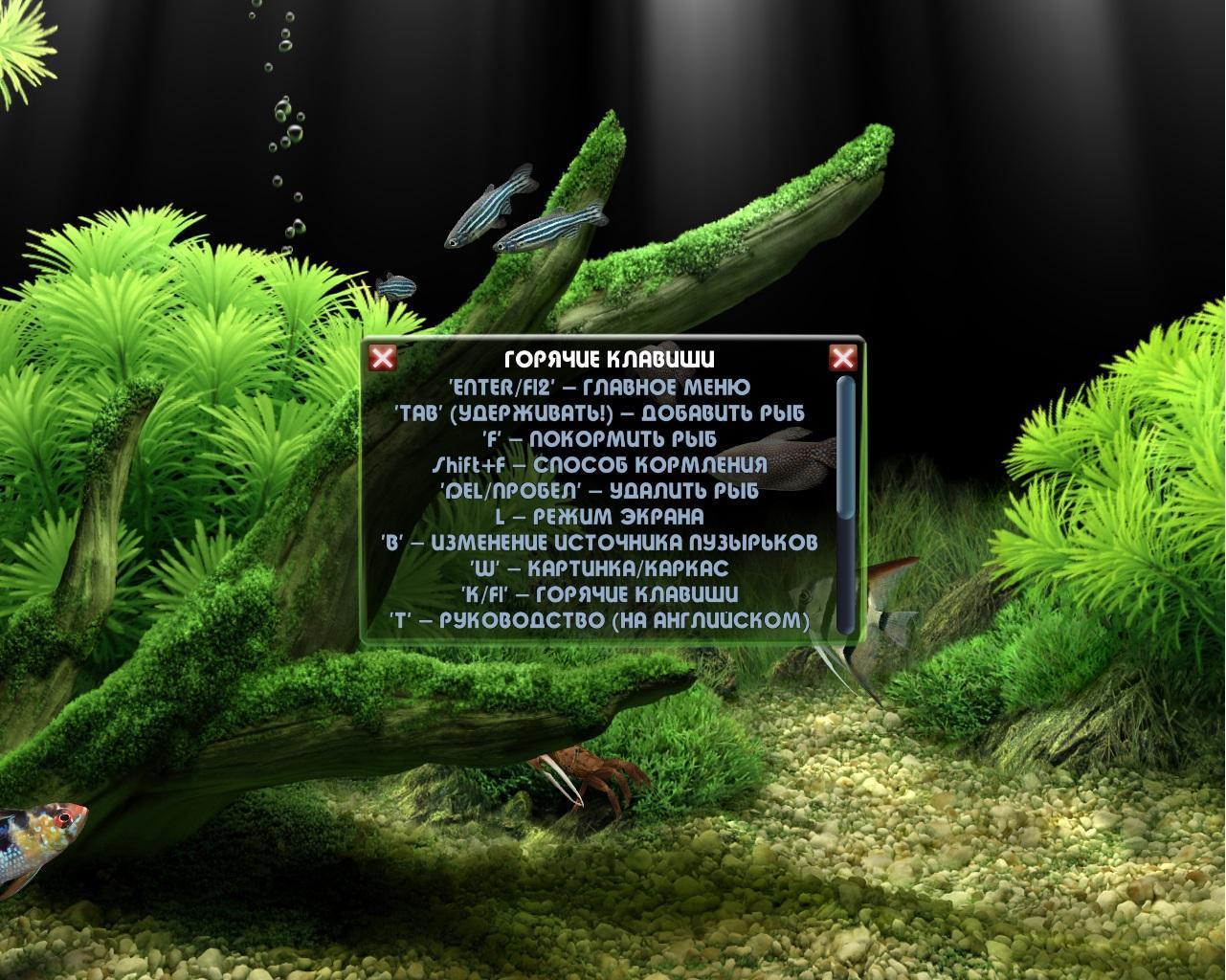 dream aquarium 3d screensaver 1.27 serial