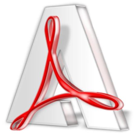 Adobe Reader XI 11.0.10 Portable  punsh
