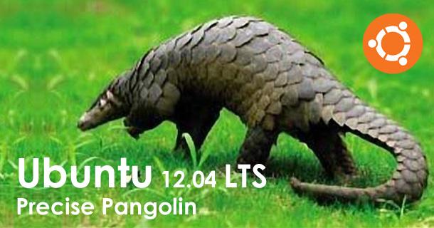 Тестовая сборка Ubuntu 12.04.2