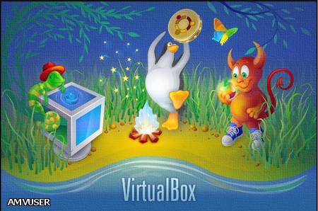 VirtualBox 4.1.20 Build 80170 + vbox-extpack