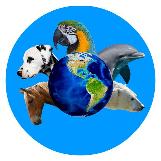Английская АЗБУКА с животными бесплатный алфавит (ABC with animals free alphabet)
