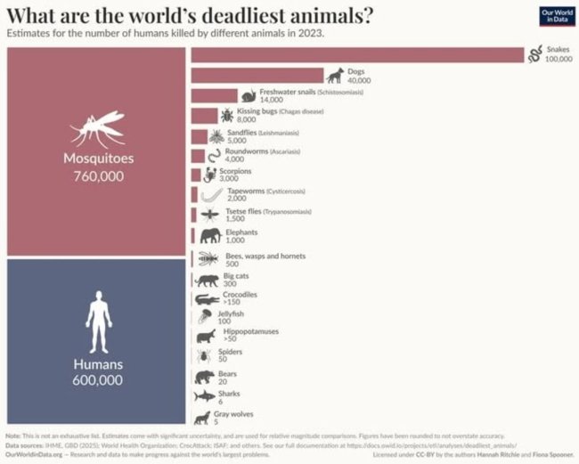 Самые опасные для человека животные: рейтинг смертности - Интернет технологии.