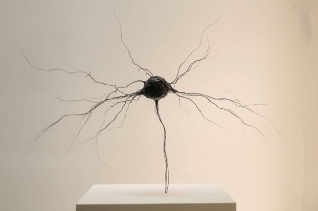 Цена омоложения: почему попытки обратить старение вспять повышают риск развития рака - Интернет технологии.