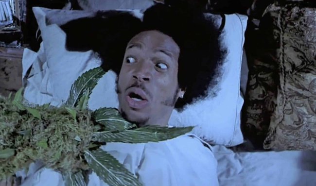 Употребление каннабиса привело к созданию ложных воспоминаний и ухудшению памяти - Интернет технологии.