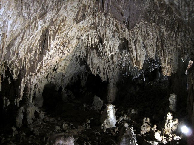 У девочки-подростка из верхнего палеолита нашли редкое генетическое заболевание - Интернет технологии.