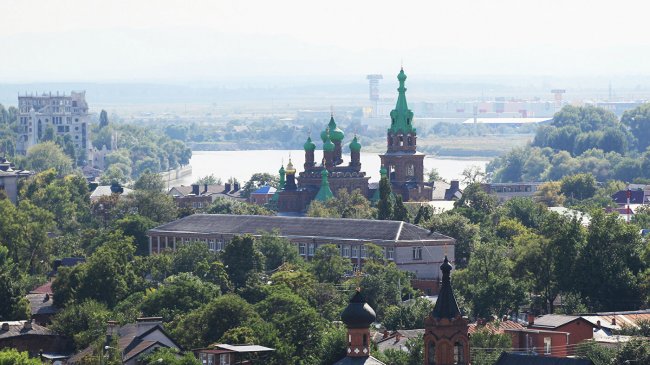 Спикер парламента Кубани призвал восстанавливать чайные плантации региона - «Новости - строительства»