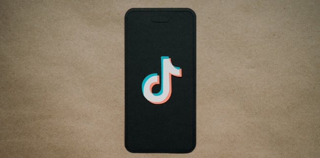 Штат Юта подал в суд на TikTok - «Компьютеры и интернет»
