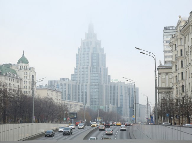 Москвичей сегодня попросили не укрываться под деревьями
