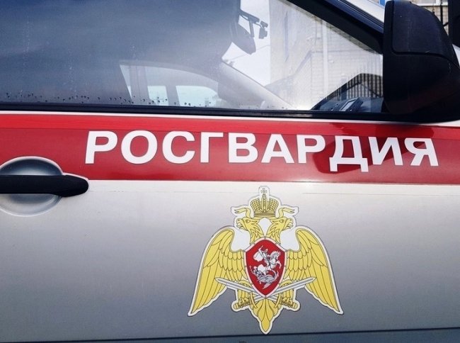 В Архангельске за грабеж магазина задержана женщина