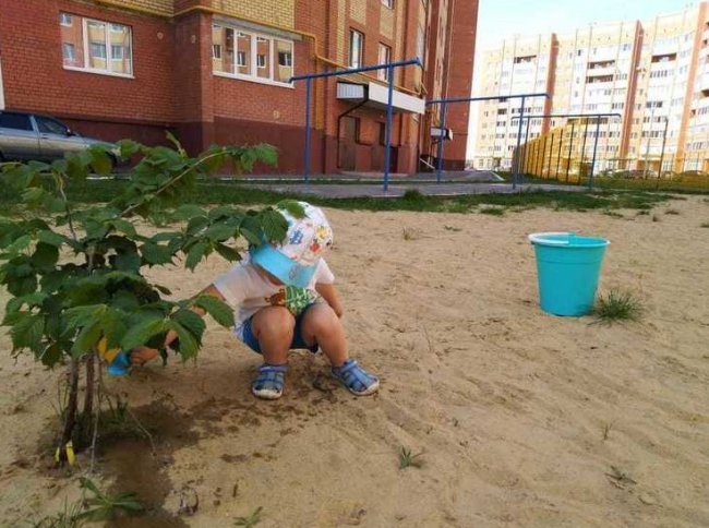 Феодосия Колосятница 11 июня: запреты и что разрешено