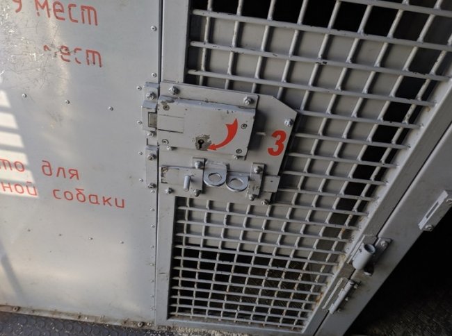 Бывший сотрудник СИЗО в Вологде получил условный срок за взятки