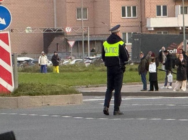 Укус полицейского обошелся новгородке почти в три четверти ее зарплаты