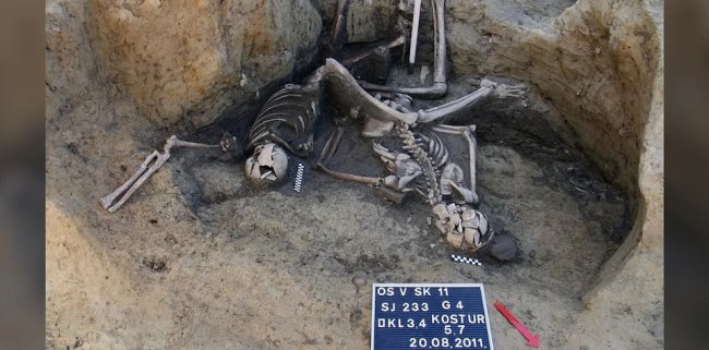 В Хорватии нашли колодец, заполненный древними скелетами - Наука.