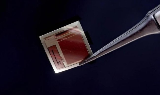 Учёные создали сверхтонкий чип с 65 тысячами электродов для прямого контакта с мозгом - Интернет технологии.