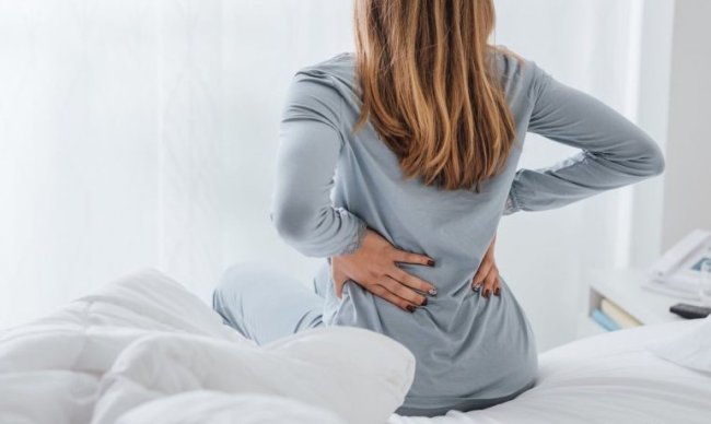 Жировые стволовые клетки демонстрируют высокий потенциал в лечении переломов позвоночника - Интернет технологии.