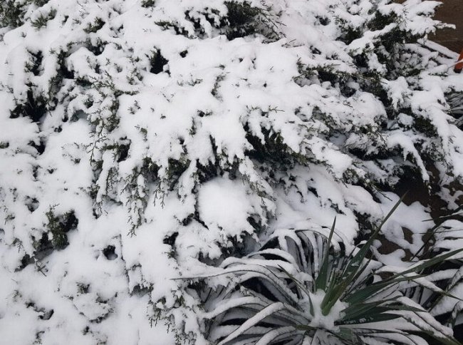 Снегопад в Сочи оставил без воды около 2000 жителей села Измайловка