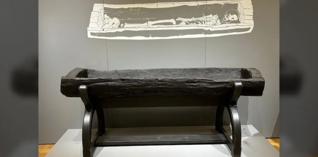 Археологи раскрыли 100-летнюю загадку «принцессы», найденной в гробу из бревна - Наука.