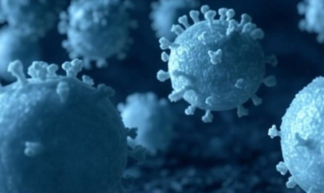 Вспышка вируса Нипах в Индии вызывает тревогу в странах Азии - Интернет технологии.