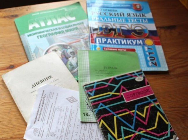 «Электронный дневник» заработал в Петербурге спустя 9 дней