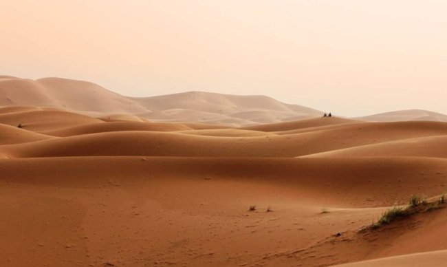 Снижение влажности почвы при засухе стимулирует отбор устойчивых к антибиотикам бактерий, угрожая здоровью людей - Интернет технологии.