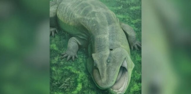 Ученые описали древнее существо с искривленной челюстью и торчащими зубами - Наука.