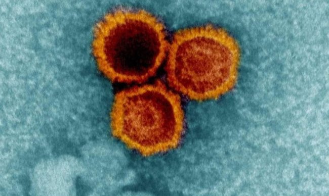 Масштабное исследование раскрыло механизмы «скрытной» жизни вирусов в организме человека - Интернет технологии.