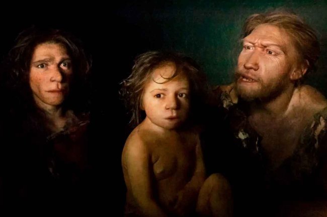 Неандертальские младенцы были крупнее младенцев сапиенсов - Интернет технологии.