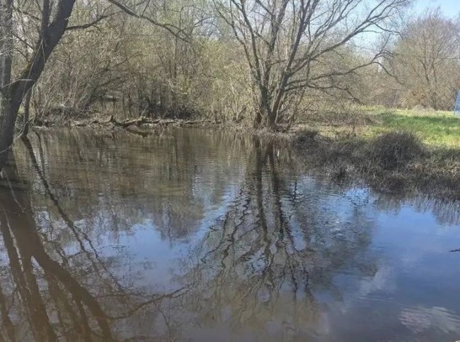 В реке под Тамбовом обнаружено многократное превышение загрязняющих веществ