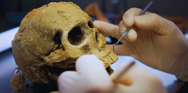 5000-летние черепа раскрыли страшную тайну древнего Египта - Наука.